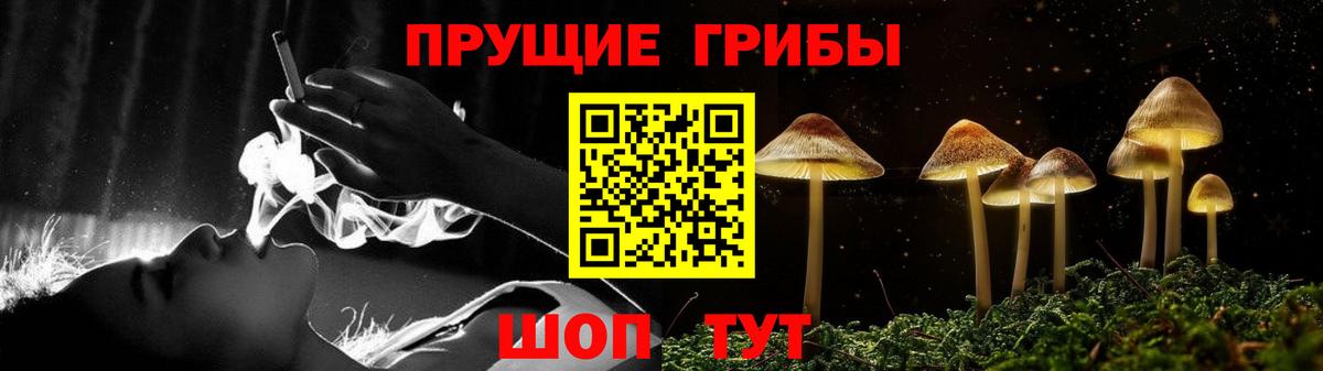 Псилоцибиновые грибы Cubensis  Псилоцибиновые грибы MAGIC MUSHROOMS  Вход с VPN  Сорочинск 